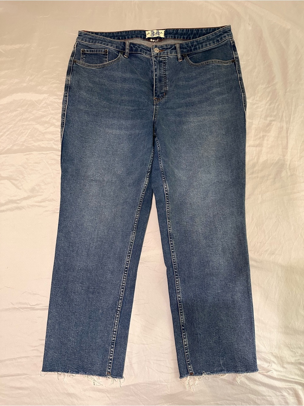 We The Free Curvy Blue Straight Leg Jeans with Raw Hem